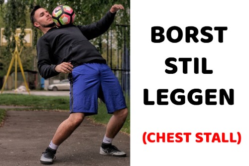 BORST-STIL-LEGGEN-CHEST-STALL