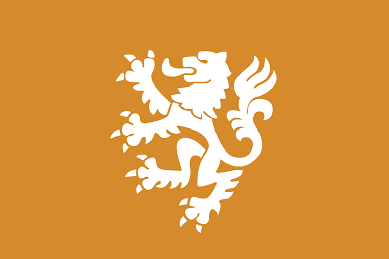 Voetbal-Trucjes-Leren-Tenue-Oranje-Leeuwinnen